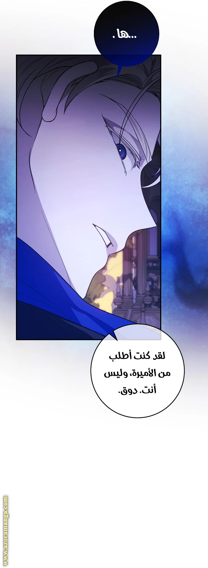 الصفحة 32