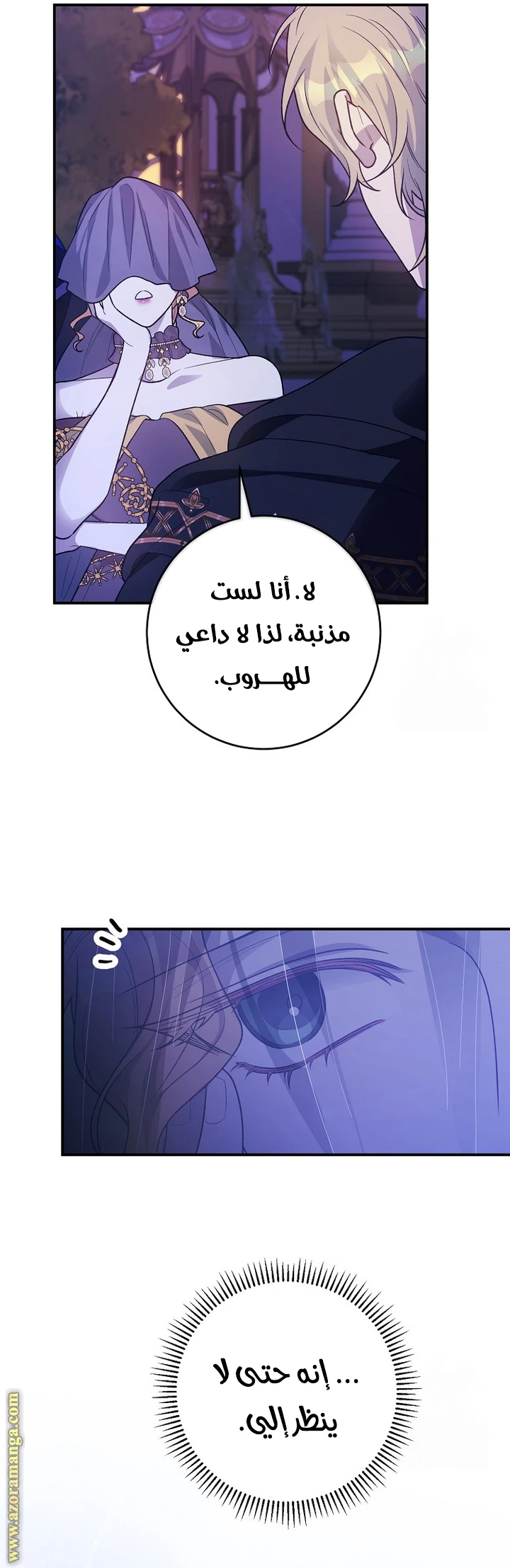 الصفحة 37