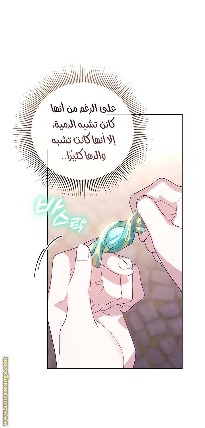 الصفحة 49