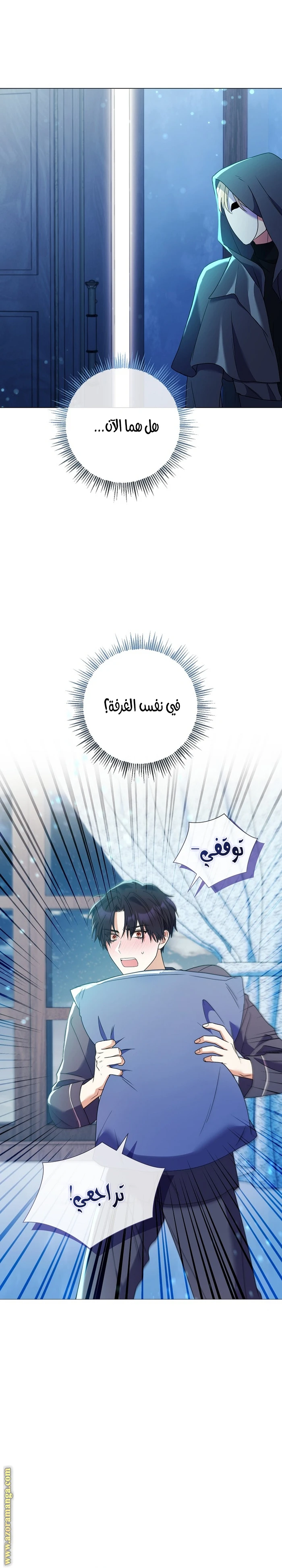 الصفحة 13