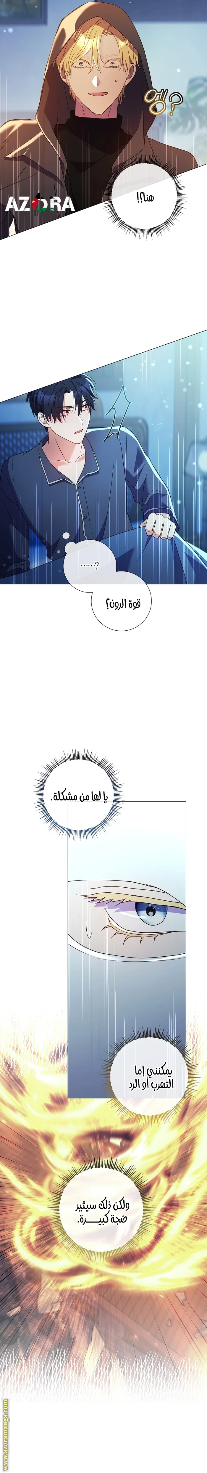 الصفحة 26