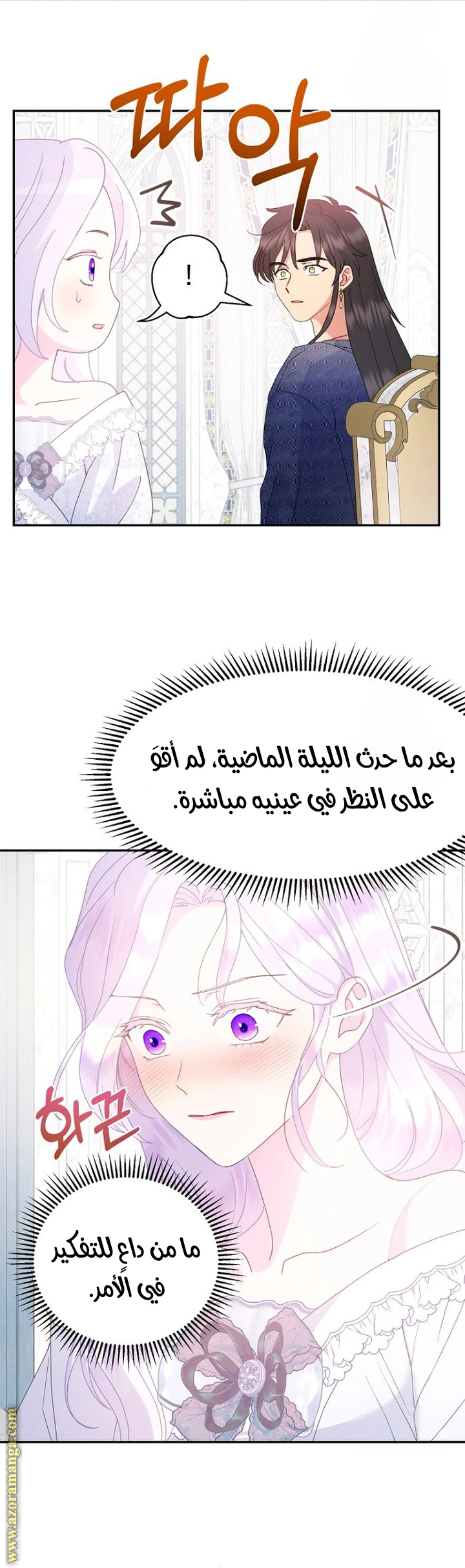 الصفحة 25