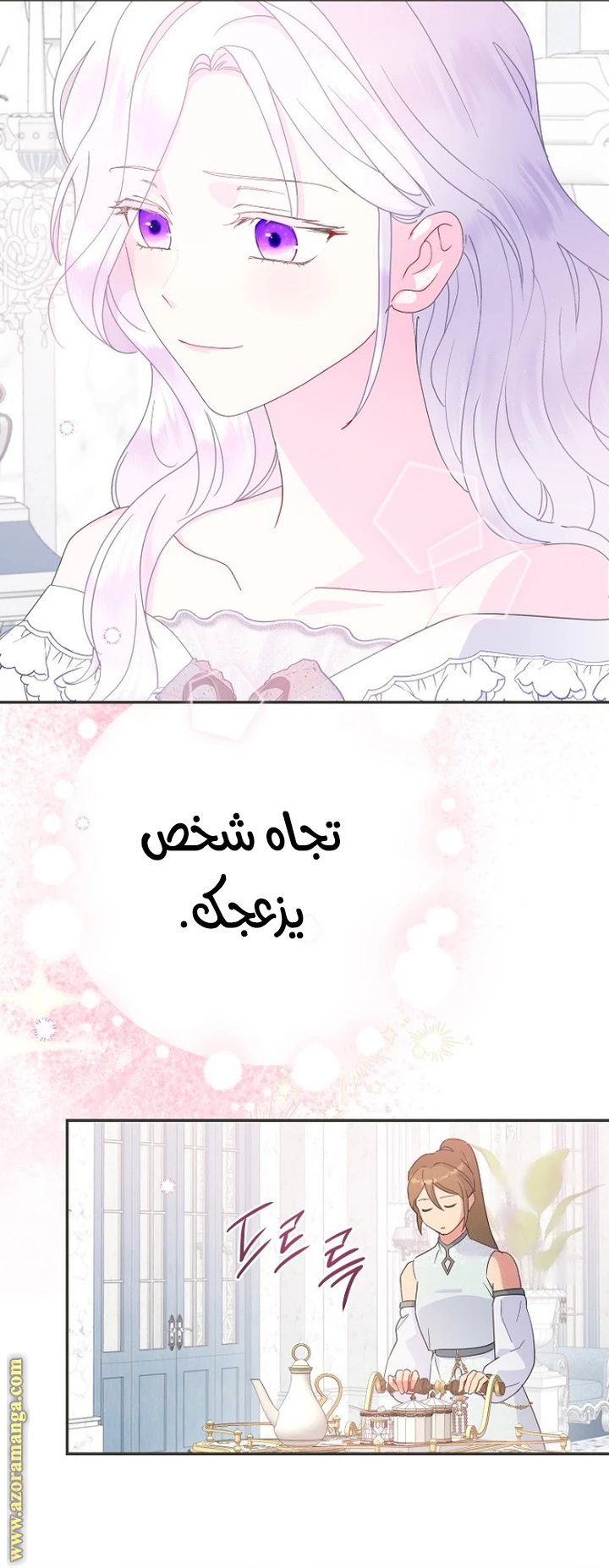 الصفحة 29