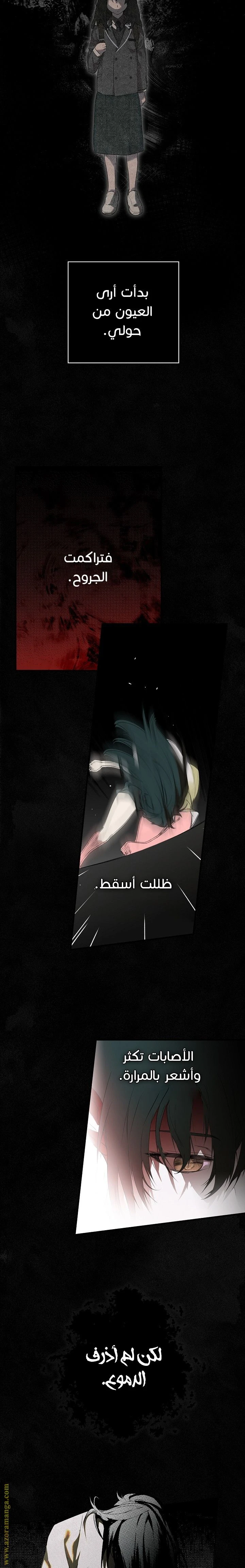 الصفحة 17