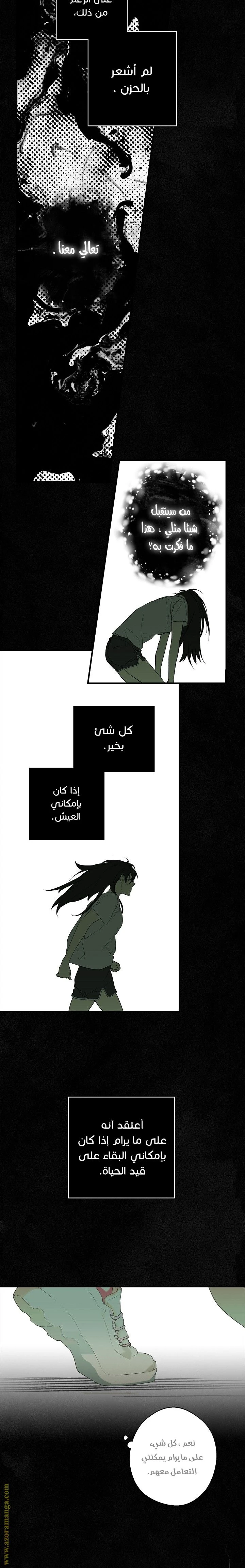 الصفحة 19