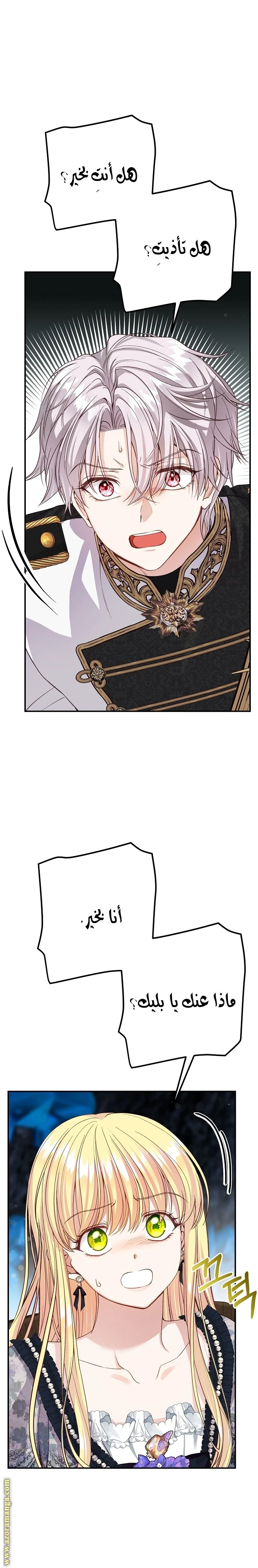 الصفحة 16