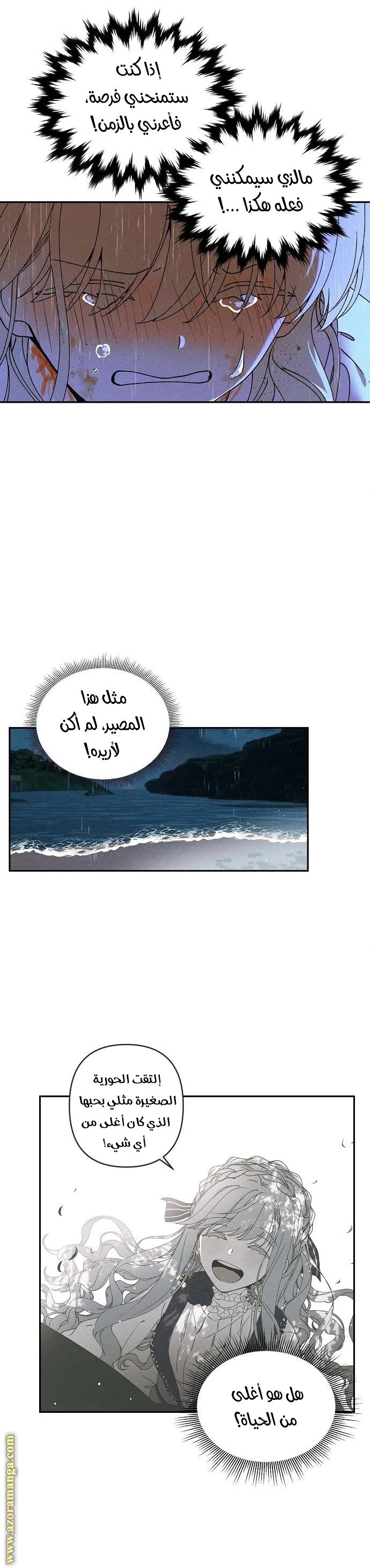 الصفحة 14