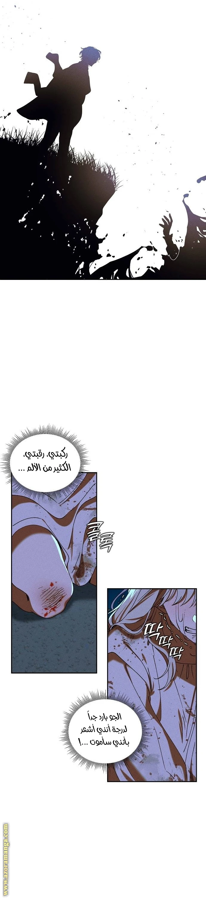 الصفحة 16
