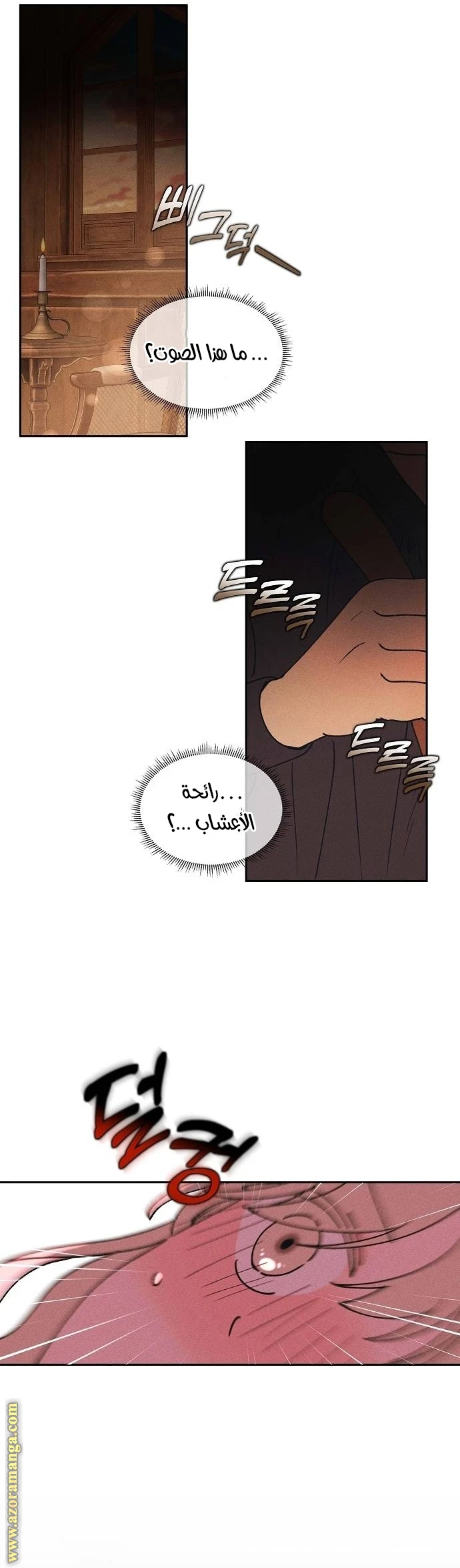 الصفحة 27