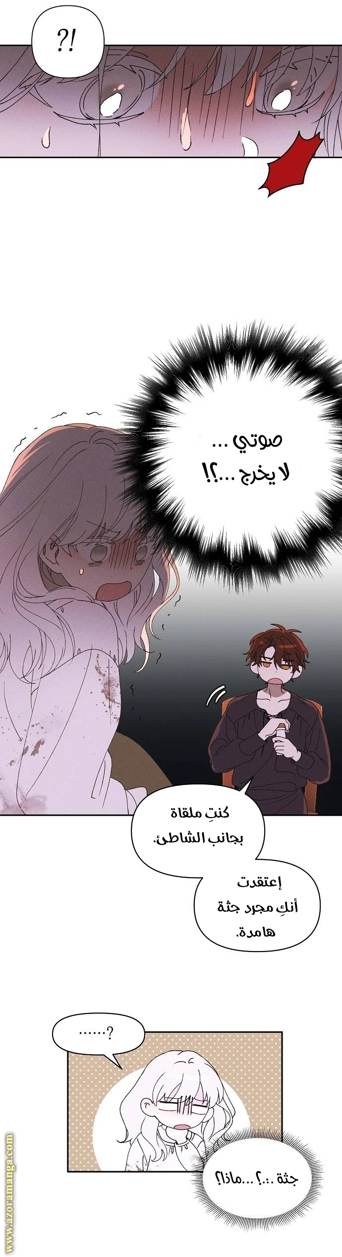 الصفحة 30