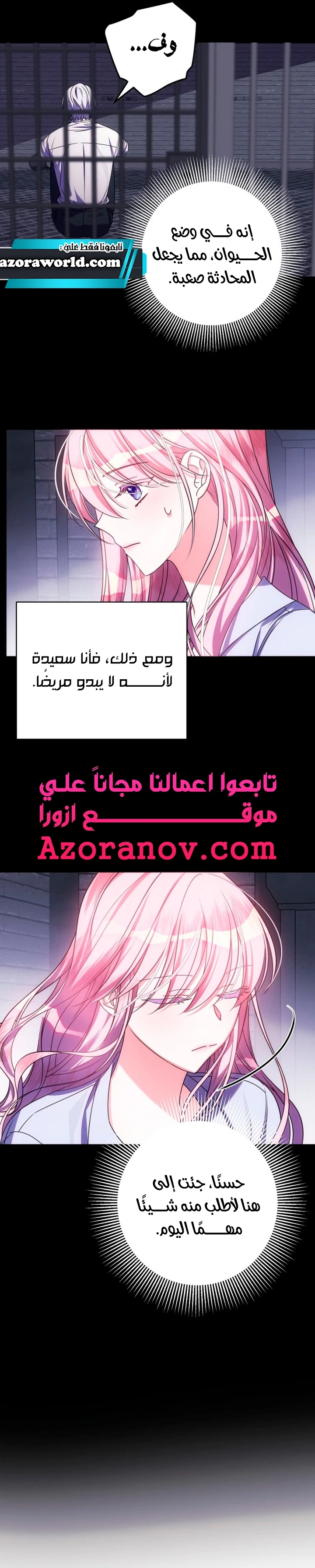 الصفحة 21