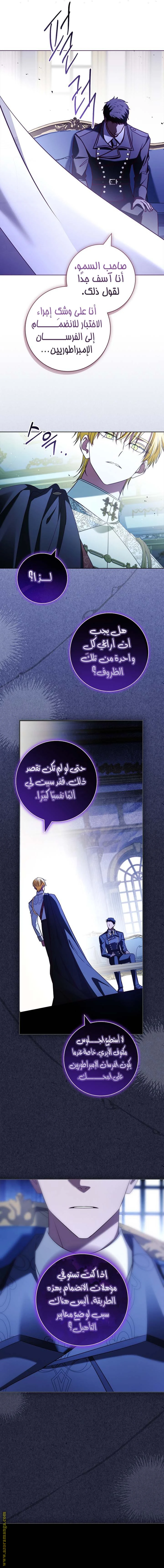 الصفحة 17