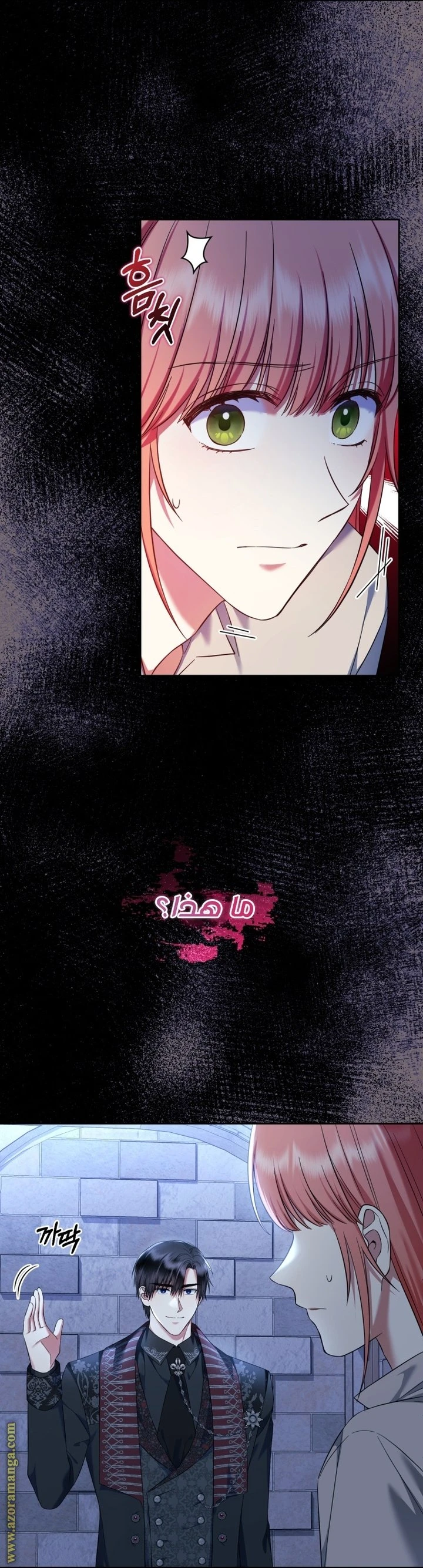 الصفحة 17