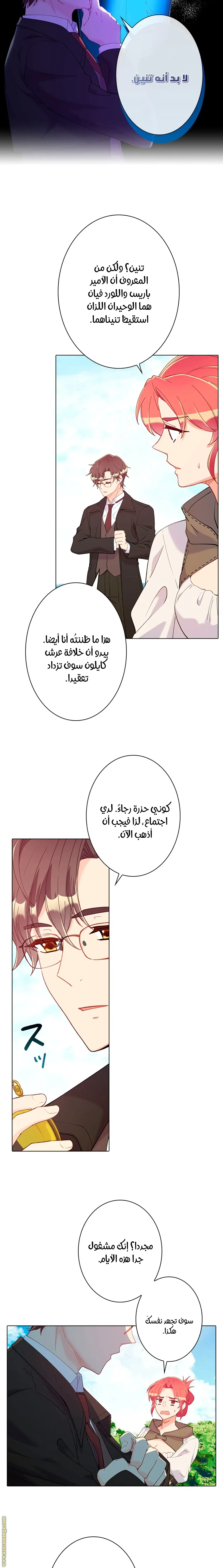 الصفحة 8