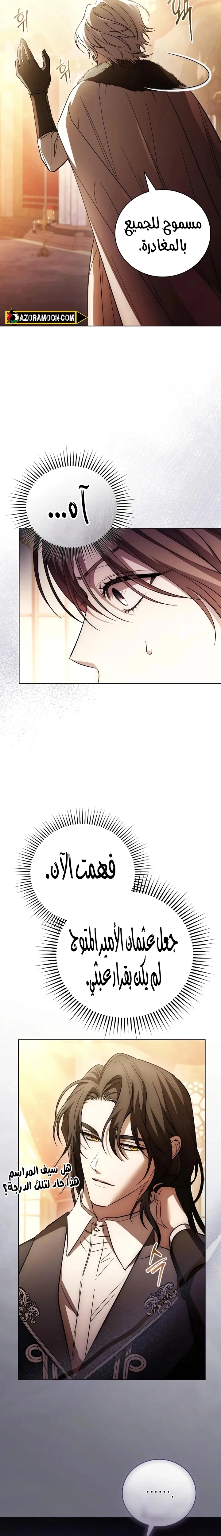 الصفحة 17
