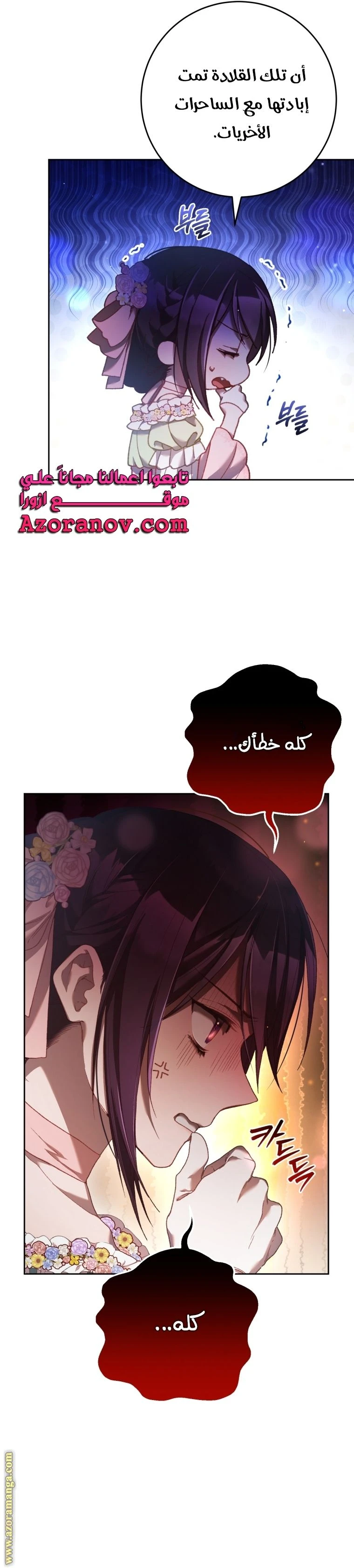 الصفحة 24