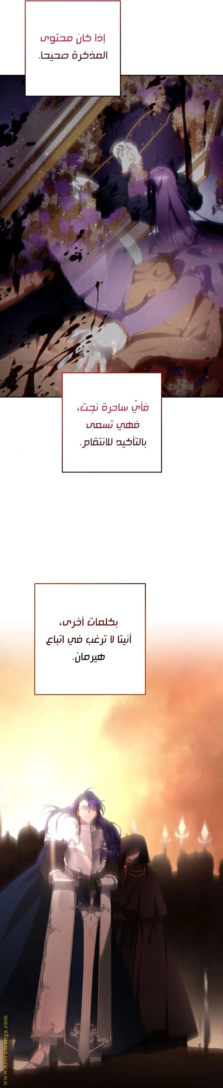 الصفحة 31