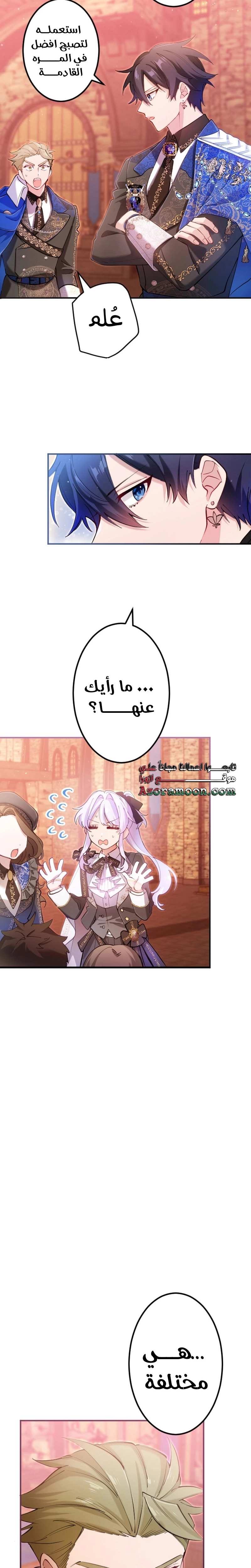 الصفحة 12
