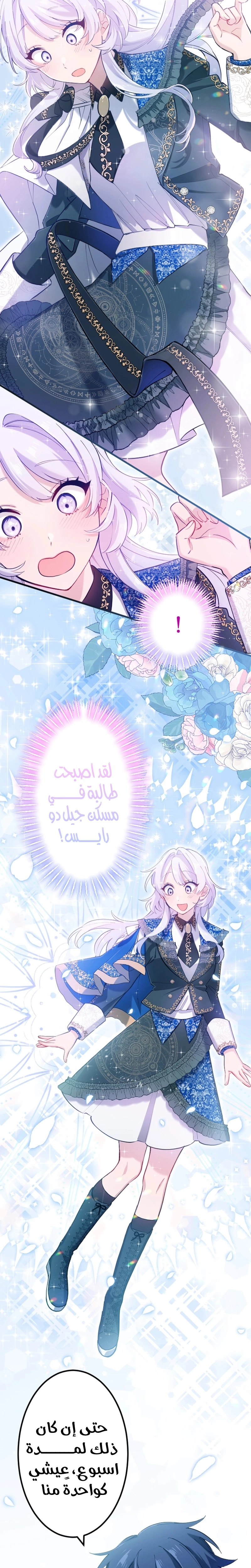 الصفحة 17