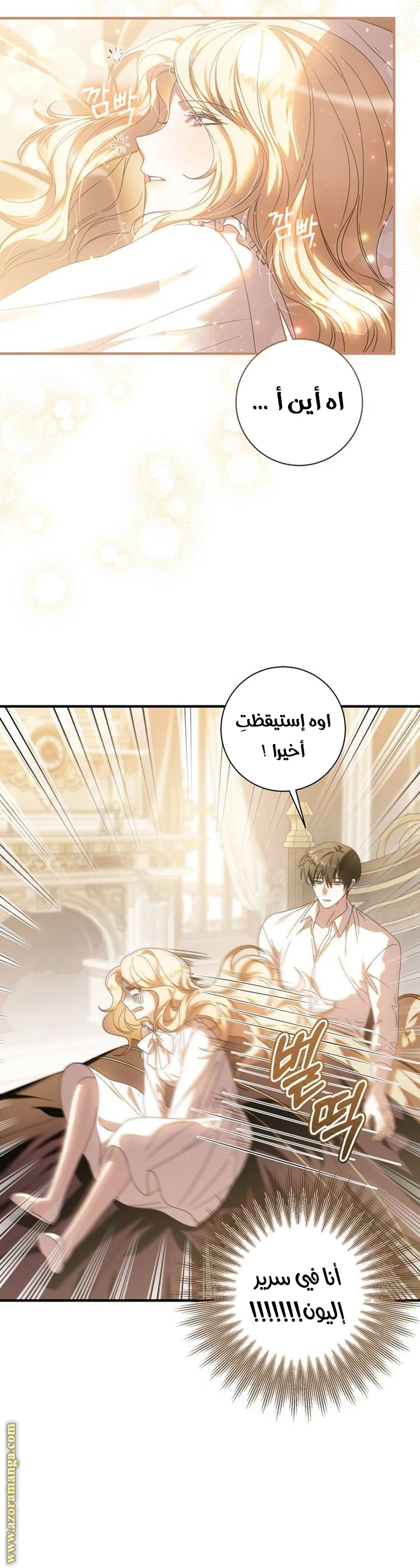 الصفحة 25
