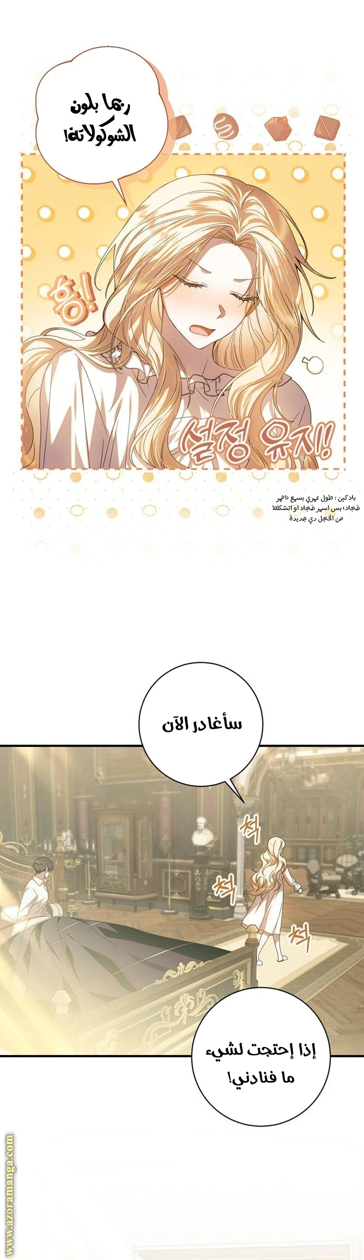 الصفحة 29