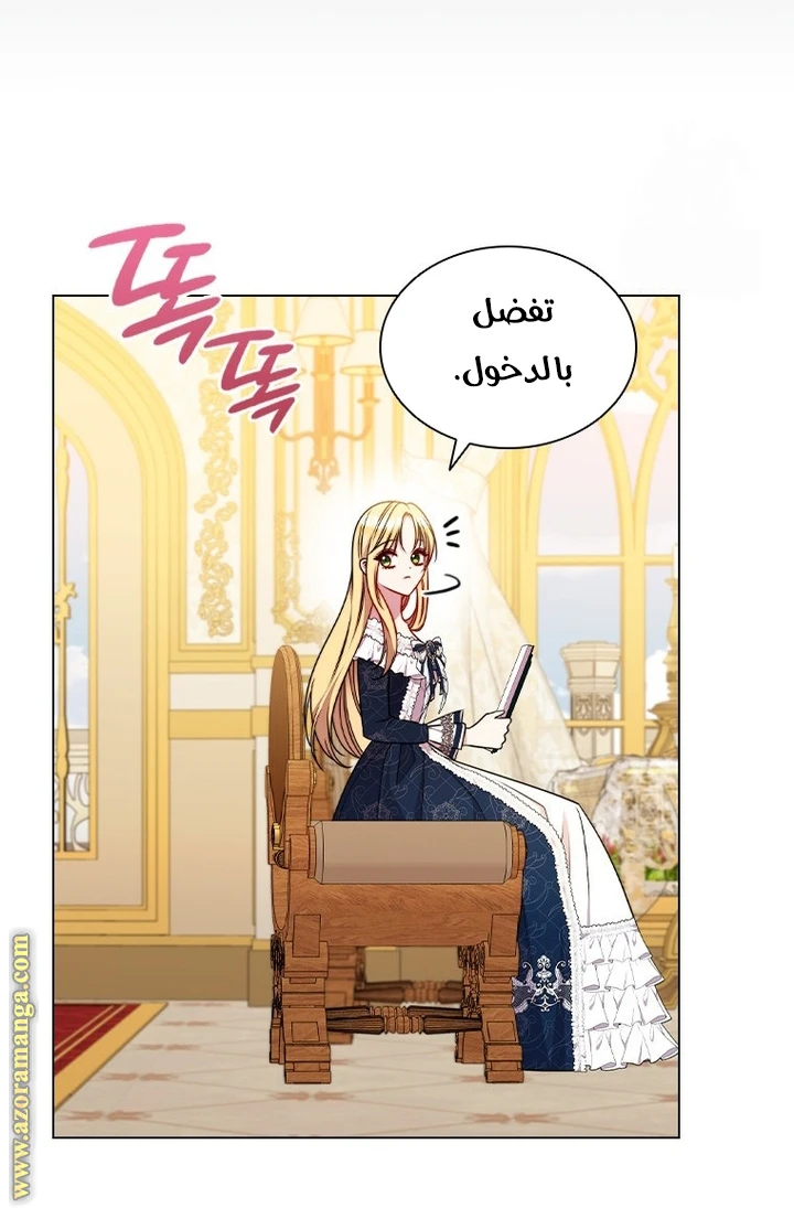 الصفحة 19
