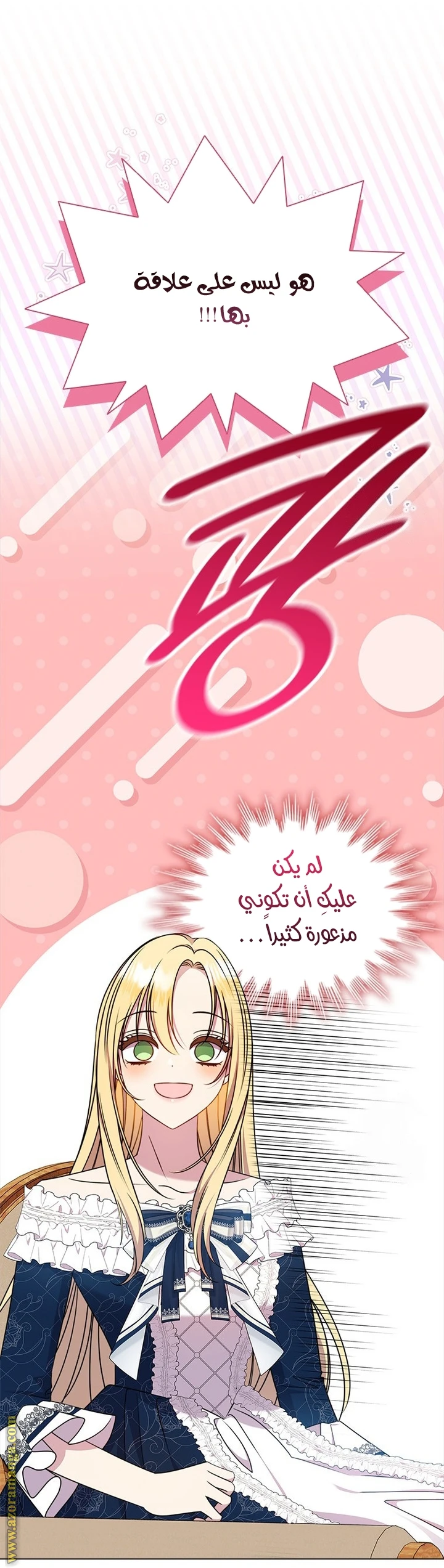 الصفحة 25