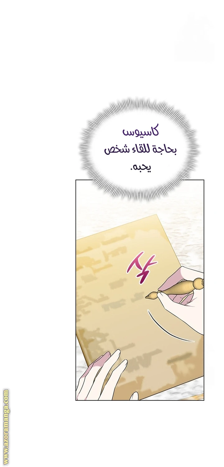الصفحة 28