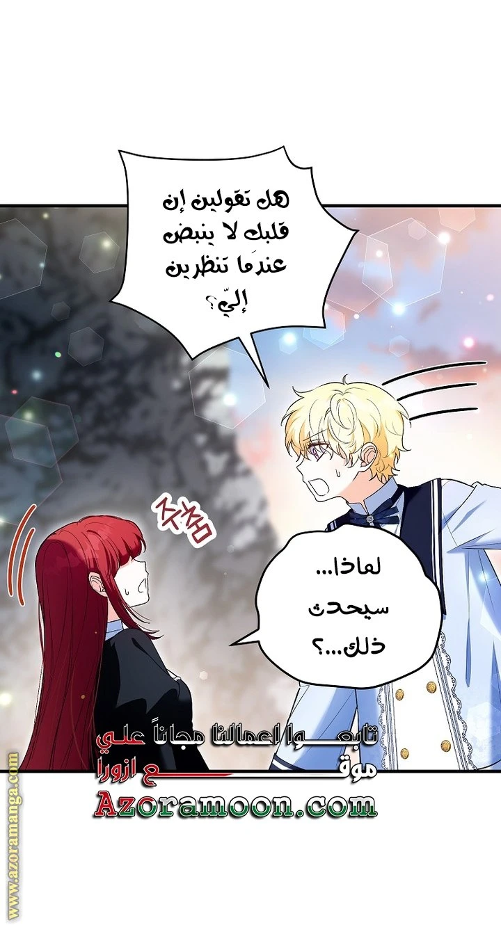 الصفحة 20
