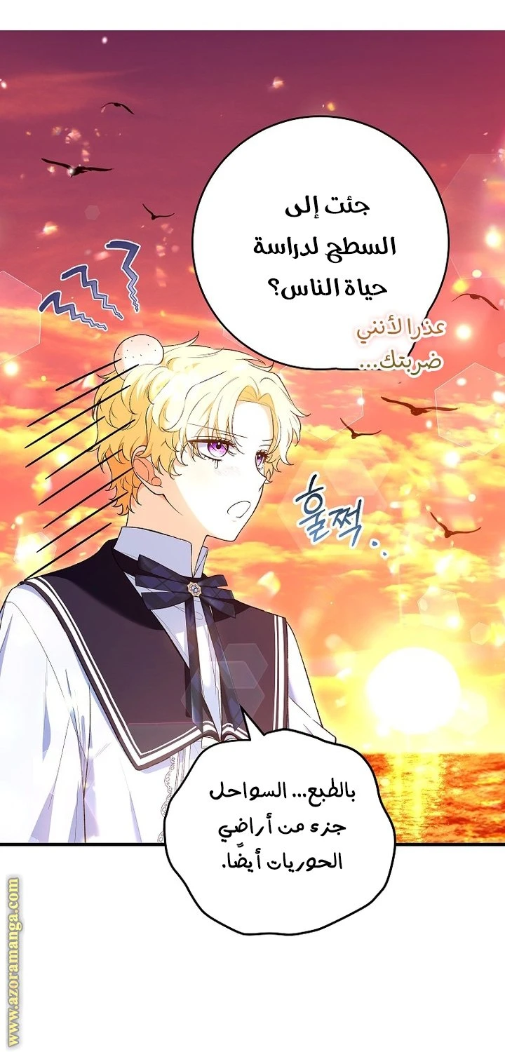 الصفحة 22
