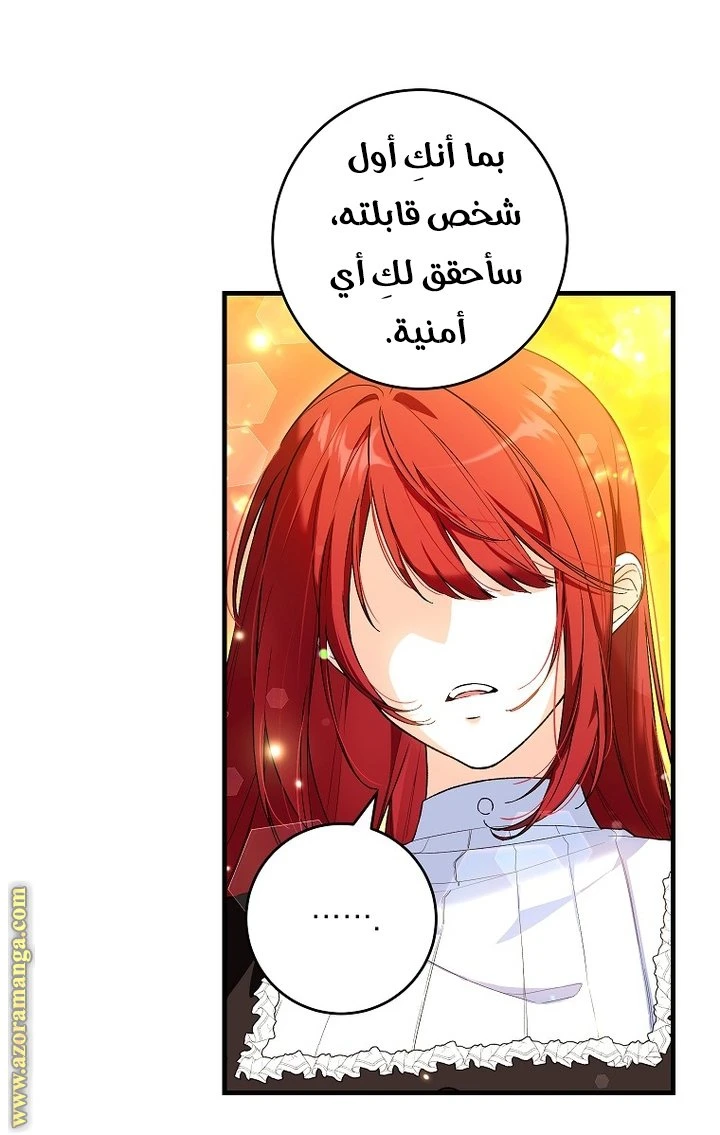 الصفحة 25