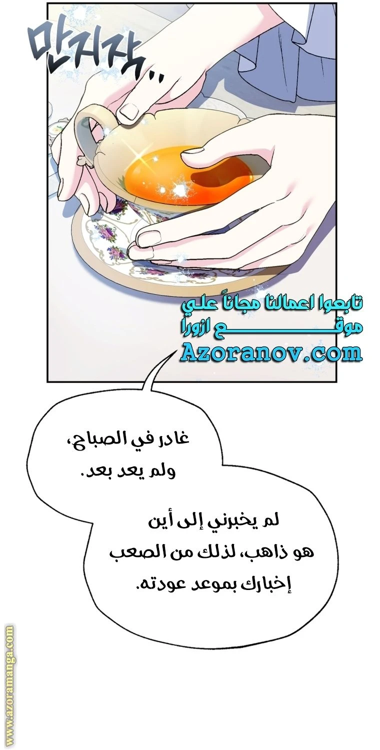الصفحة 19
