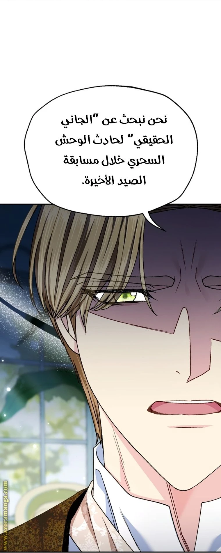 الصفحة 25