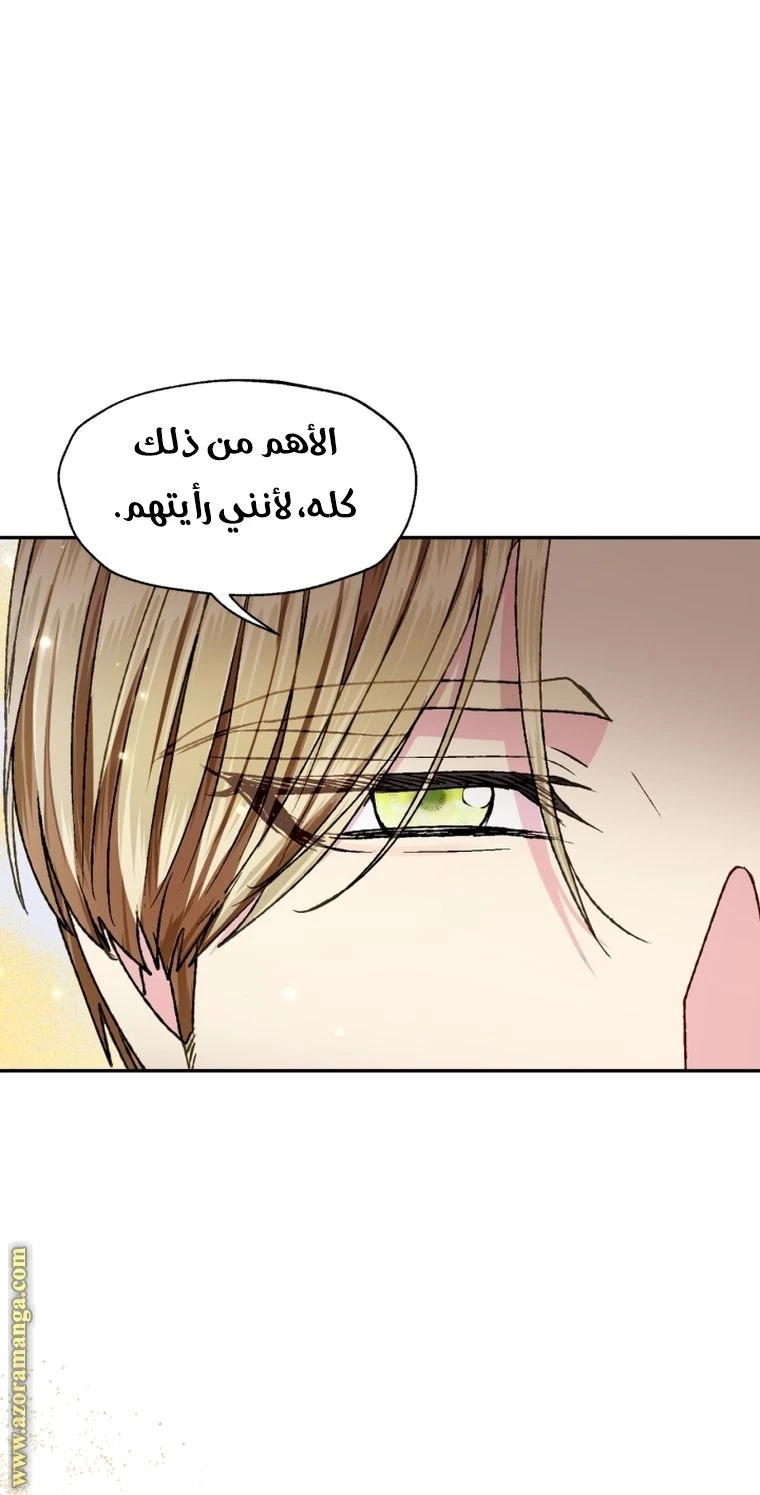 الصفحة 41