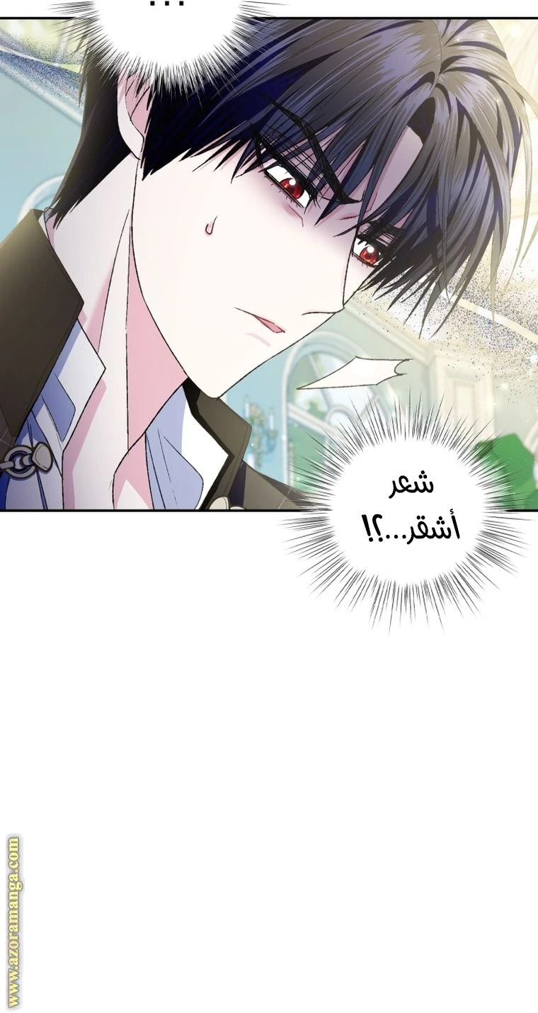 الصفحة 101