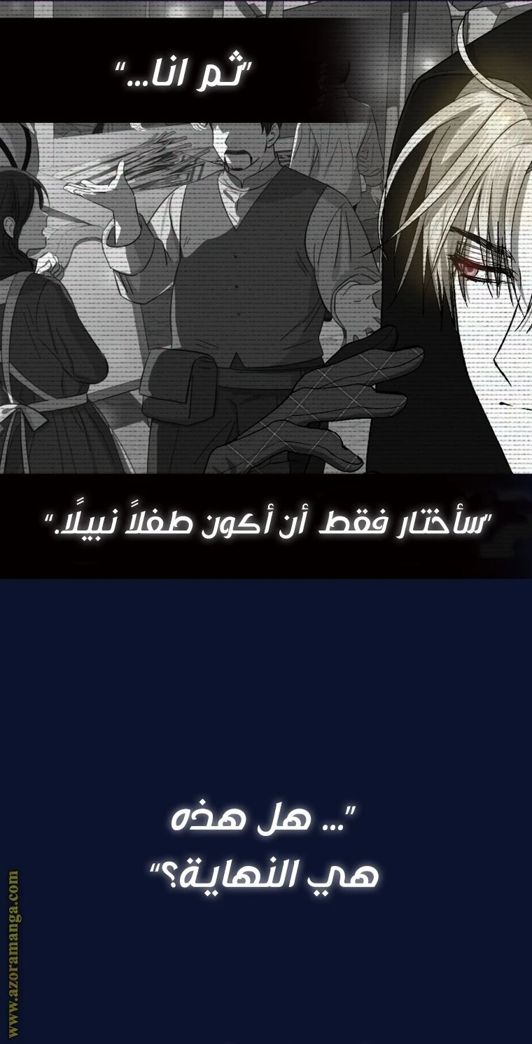 الصفحة 113