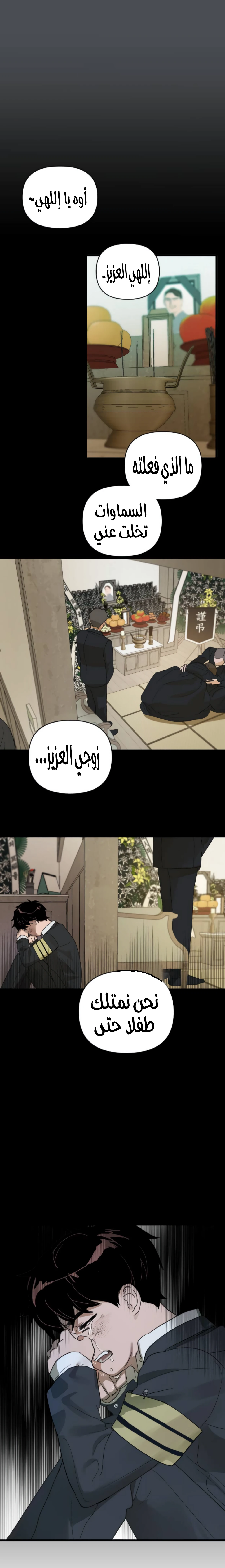 الصفحة 11