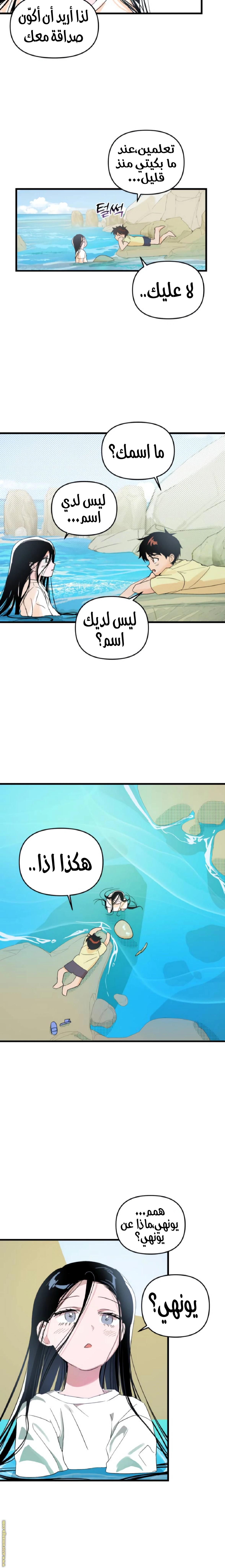 الصفحة 17