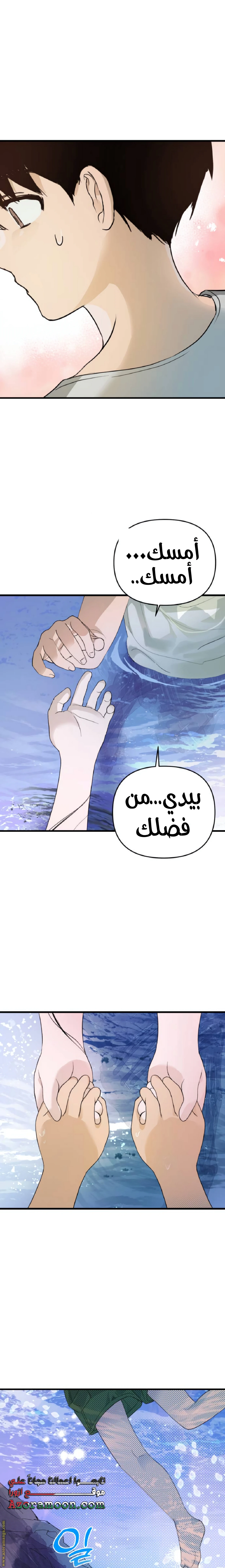 الصفحة 29