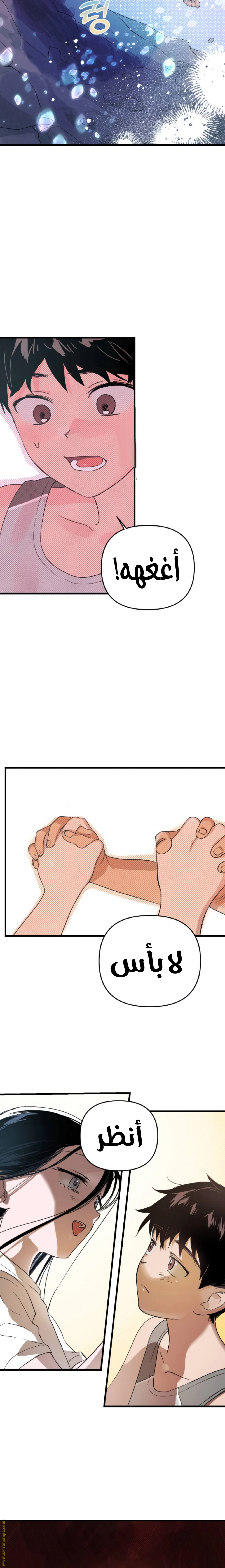 الصفحة 30
