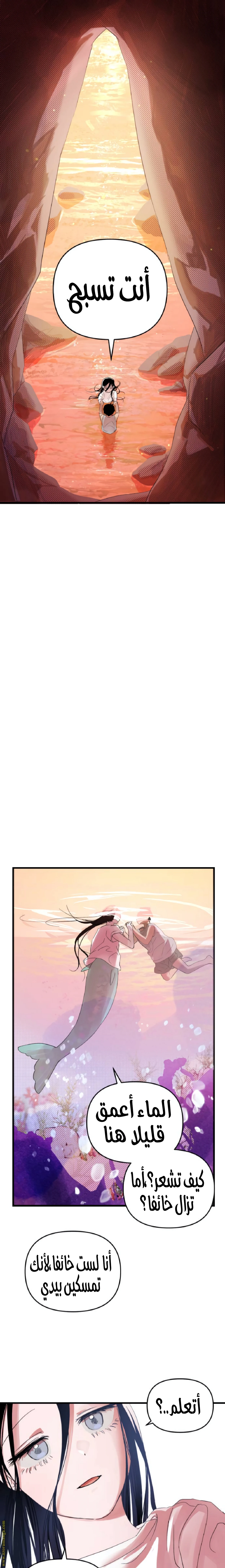 الصفحة 31