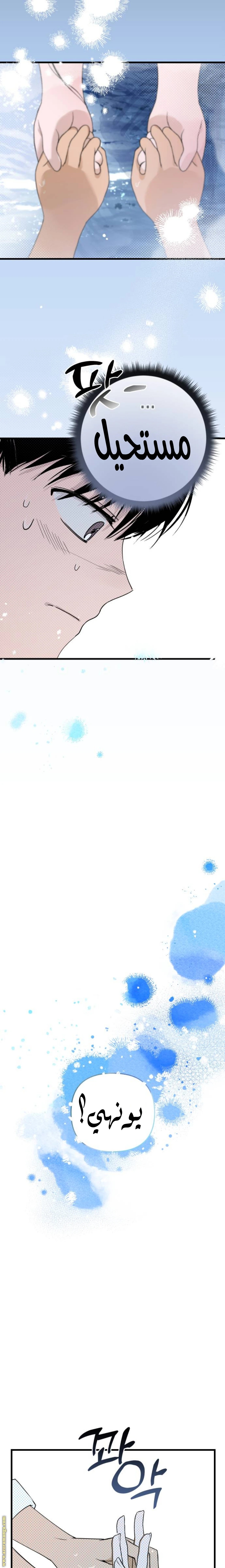 الصفحة 41
