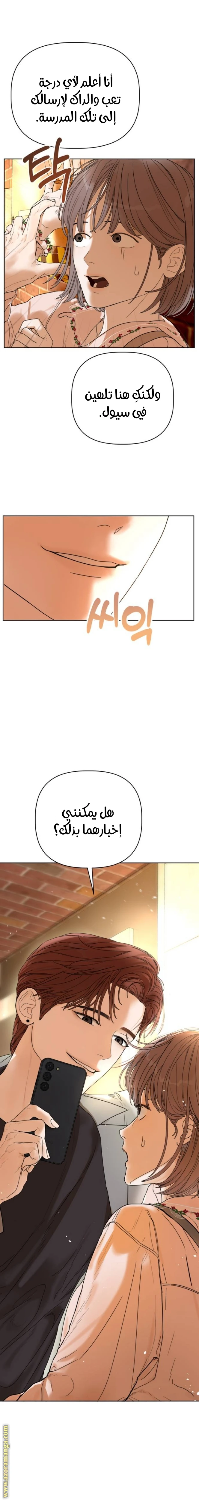 الصفحة 29