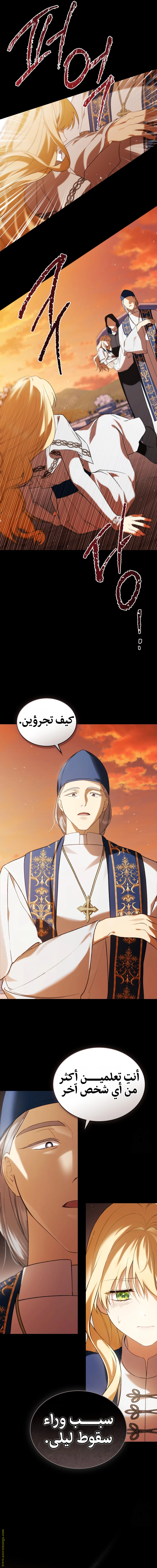 الصفحة 11