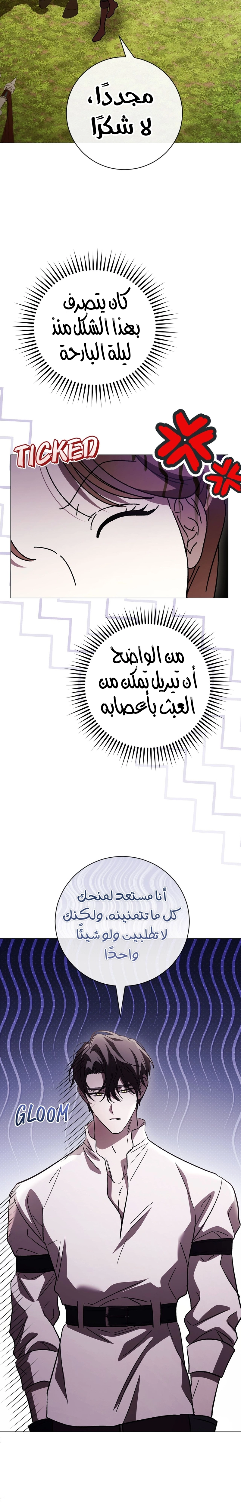الصفحة 19