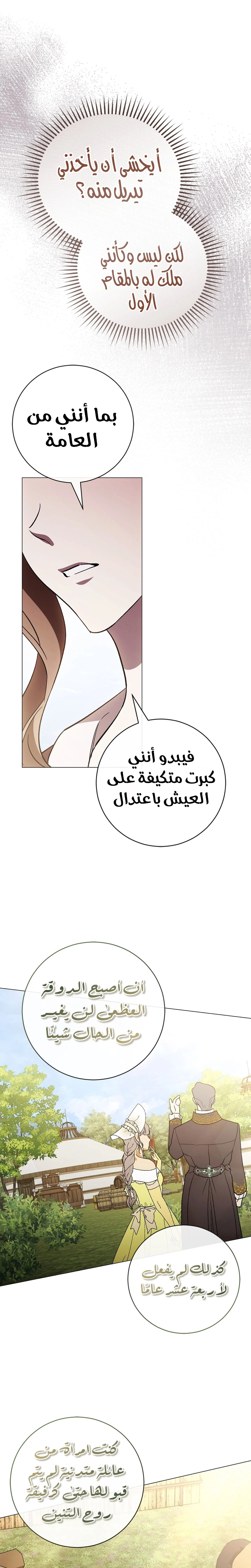 الصفحة 20