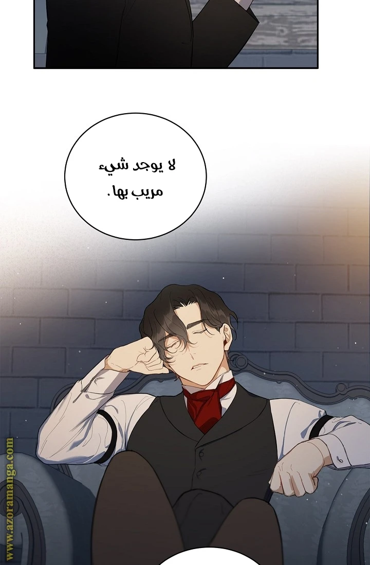 الصفحة 17