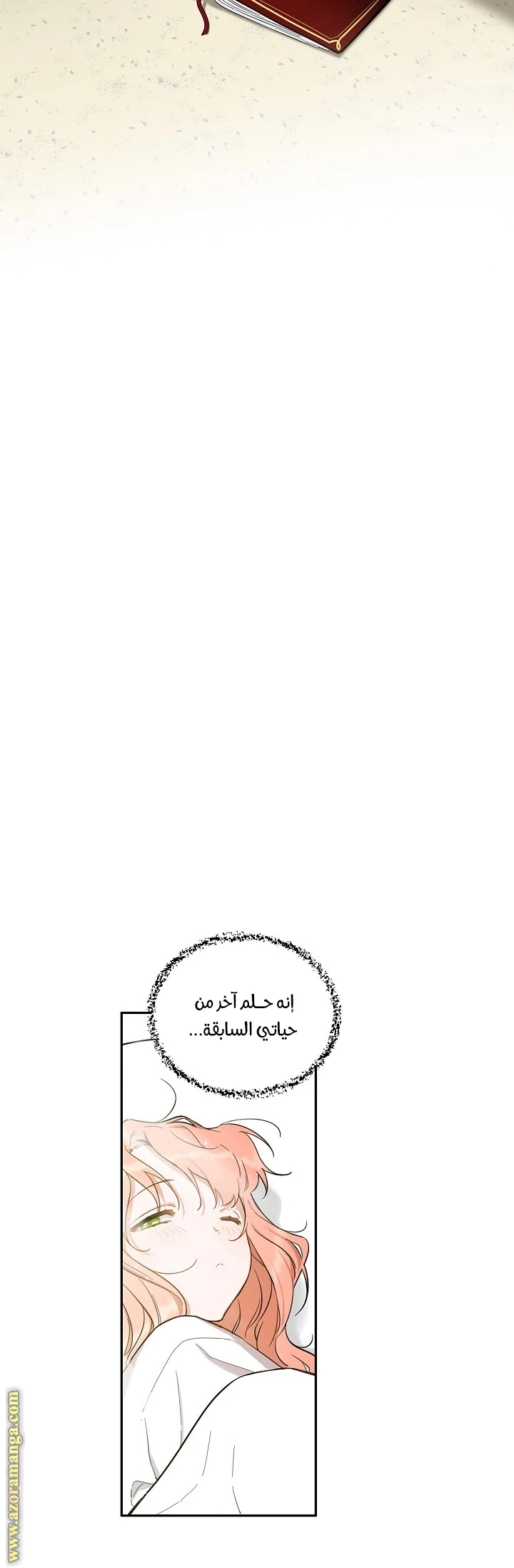 الصفحة 32