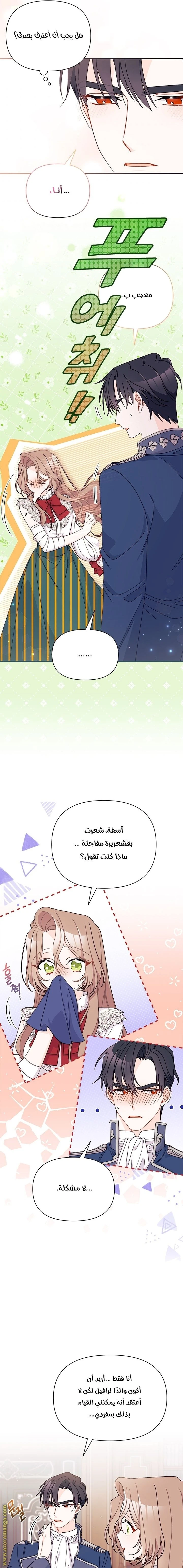الصفحة 17