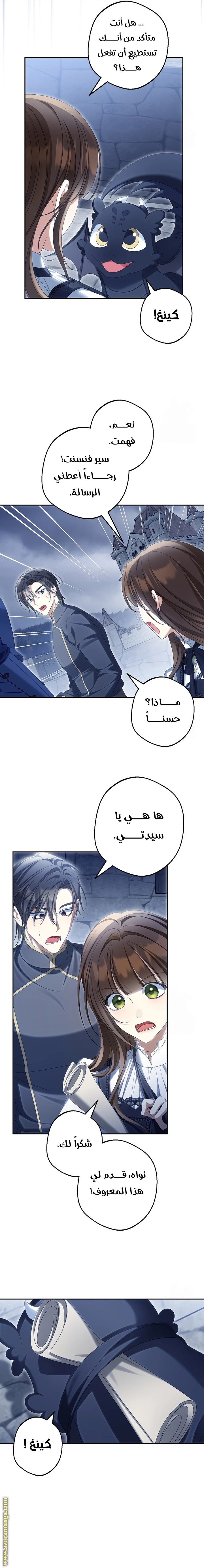 الصفحة 13